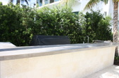 Enlarge photo 54
