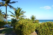 Enlarge photo 49