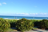 Enlarge photo 47