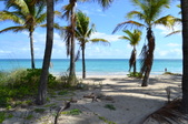 Enlarge photo 35