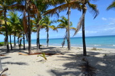 Enlarge photo 41