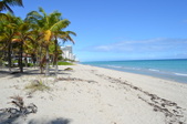 Enlarge photo 42