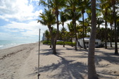 Enlarge photo 45