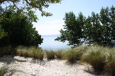 Enlarge photo 29
