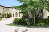 Enlarge photo 38