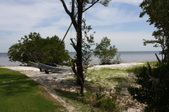 Enlarge photo 43