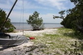 Enlarge photo 44