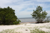 Enlarge photo 46