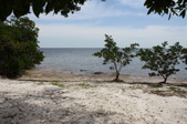 Enlarge photo 54
