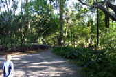 Enlarge photo 26