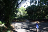 Enlarge photo 27