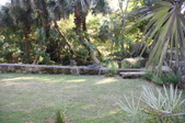 Enlarge photo 29