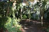 Enlarge photo 31