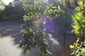 Enlarge photo 32