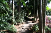 Enlarge photo 36