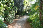 Enlarge photo 41