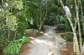 Enlarge photo 45