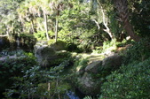 Enlarge photo 46