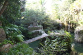 Enlarge photo 49