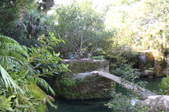 Enlarge photo 50
