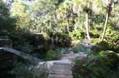 Enlarge photo 52
