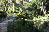 Enlarge photo 53