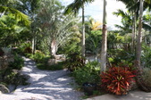 Enlarge photo 30