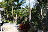 Enlarge photo 31