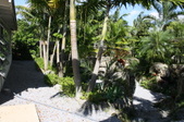 Enlarge photo 33