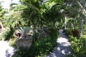 Enlarge photo 34