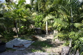 Enlarge photo 35