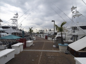 Enlarge photo 36