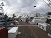 Enlarge photo 38