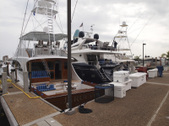Enlarge photo 41