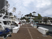 Enlarge photo 43