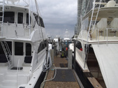 Enlarge photo 58