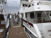 Enlarge photo 59