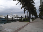 Enlarge photo 62