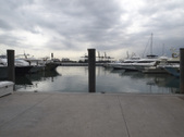 Enlarge photo 65