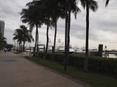 Enlarge photo 71