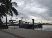 Enlarge photo 72