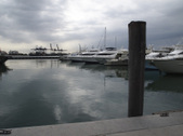 Enlarge photo 73