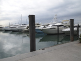 Enlarge photo 74