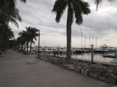 Enlarge photo 78