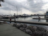 Enlarge photo 80