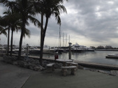 Enlarge photo 81