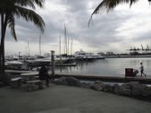 Enlarge photo 82