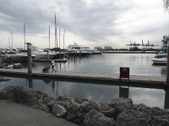 Enlarge photo 83