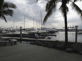 Enlarge photo 84