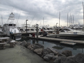 Enlarge photo 88